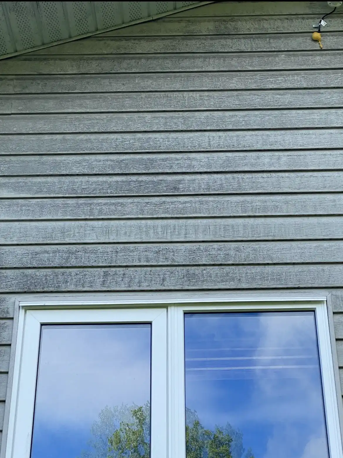 Close view of vinyl siding with visible algae and dirt streaking